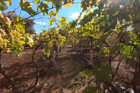 Landejendom i Ostuni, Brindisi, Ostuni - € 87.000 | Ref: 149 - foto 13